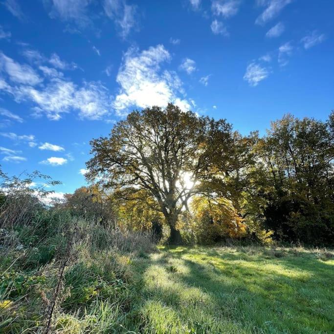 Superbe Maison De Campagne A Deux Pas De Nantes Treillières Zewnętrze zdjęcie